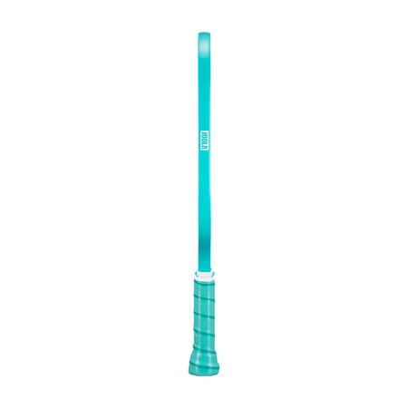 White background, product image of the teal edge guard on the teal JOOLA Essentials Dash pickleball paddle.