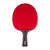 White background, a JOOLA Table Tennis Racket with a red surface.