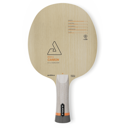JOOLA Table tennis racket with wooden design and gray handle on a white background.